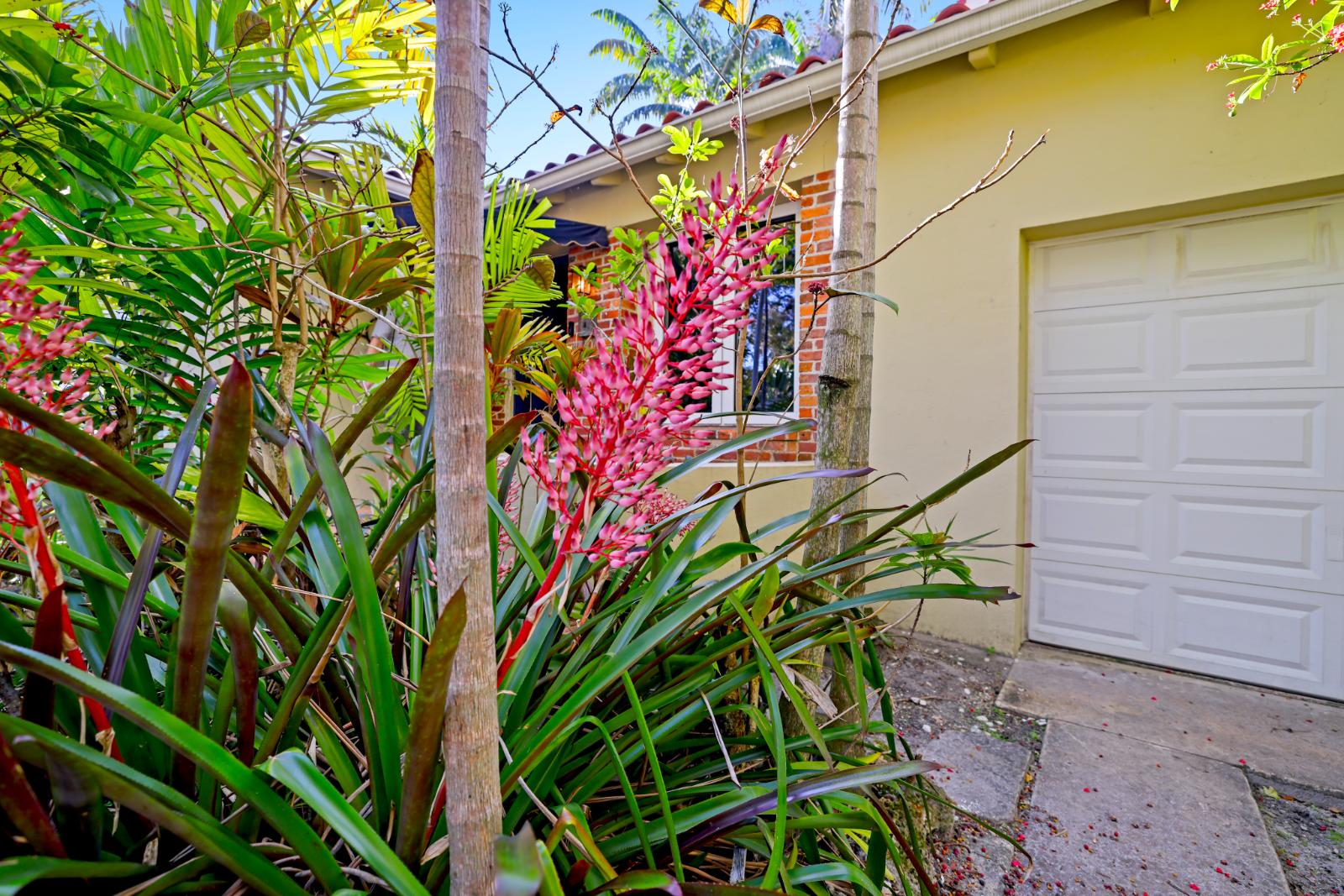 Garage-side landscaping with mature planting and privacy
